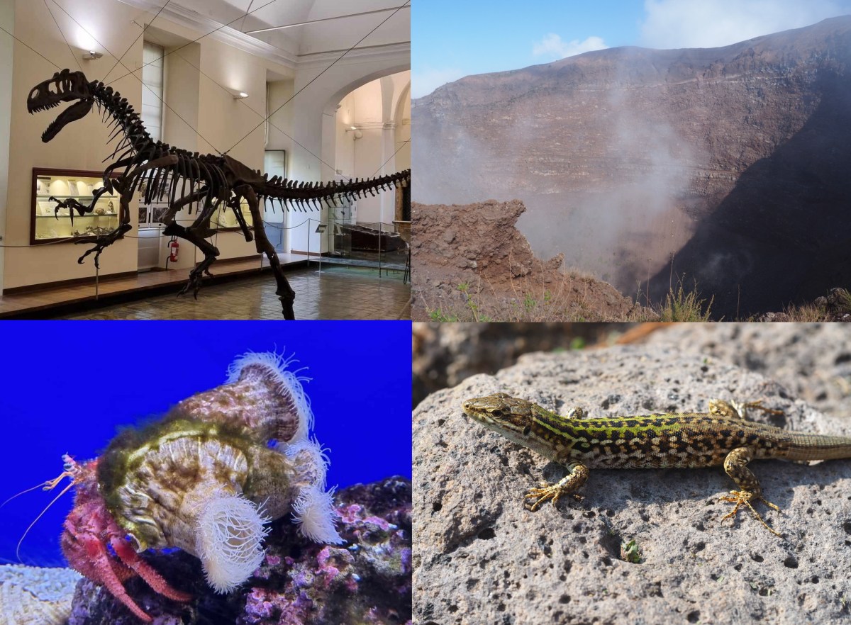 Reisebericht: Neapel